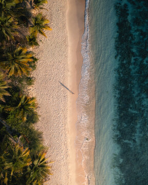 Aerial view of beautiful Mandel Beach with palm trees and sandy shoreline, Totikum, Central Sulawesi, Indonesia.