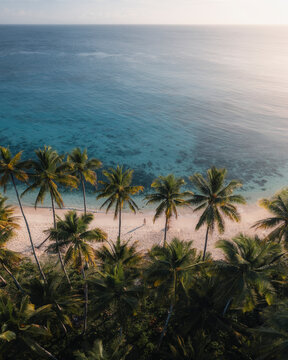 Aerial view of serene Mandel beach with palm trees and turquoise water, Totikum, Central Sulawesi, Indonesia.