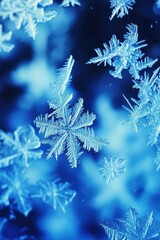 Close-up of intricate snowflakes against a blue background.