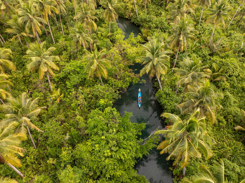 Fototapeta Aerial view of a tranquil river with a boat surrounded by lush palm trees and tropical forest, Philippines.