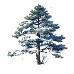 Obraz premium North Pole Clipart Vector Illustration