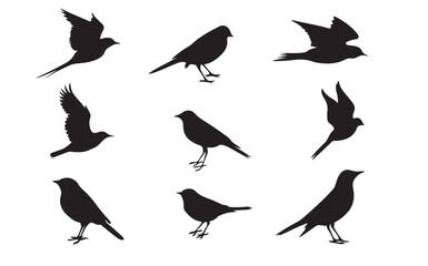 bird silhouette vector