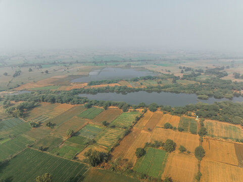 Aerial view of picturesque rice fields and lush greenery with water bodies, Bharhkol, Fatehpur Sikri, Uttar Pradesh, India.