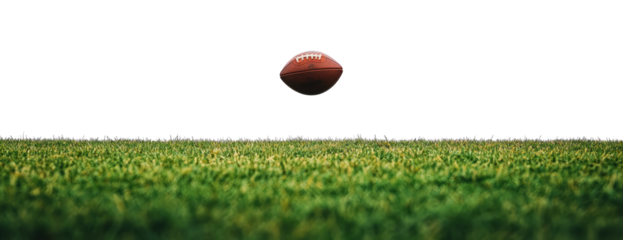 Rugby pitch isolated on transparent background.