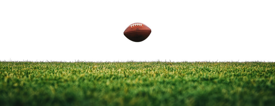 Rugby pitch isolated on transparent background.