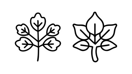 sassafras tree icon, tree line art, tree vector - simple black line art icon of sassafras tree perfect for logos, and tree-themed designs.