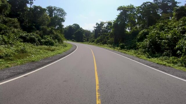Road in the fores location of the Southern Cross Road on the island of Java
