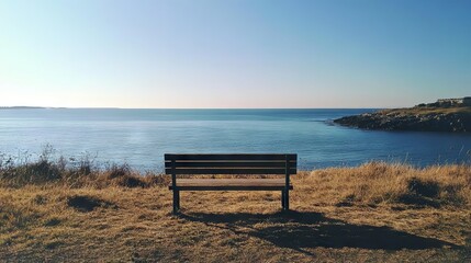 Tranquil Coastal Bench View