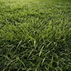 Obraz premium Close-up of green grass texture - natural background with detailed blades of grass, ideal for use in design, graphics and nature theme engineering