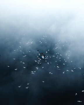 Aerial view of serene Yamuna Ghat with boats and birds under low clouds and mist, New Delhi, India.
