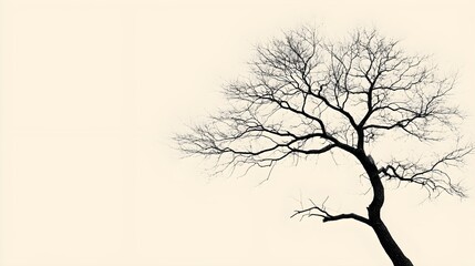 Fototapeta premium A silhouette of a tree with bare branches on a light beige background.