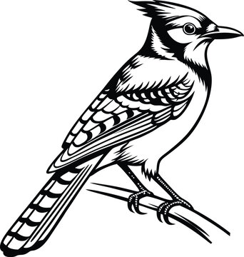 recommend clip art: blue jay bird silhouette