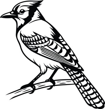 recommend clip art: blue jay bird silhouette