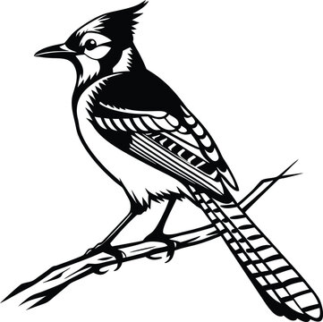 recommend clip art: blue jay bird silhouette