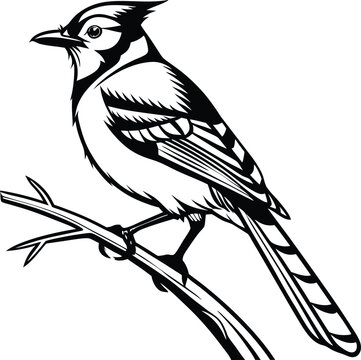 recommend clip art: blue jay bird silhouette