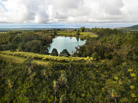 Aerial view of serene lake reflecting lush tea plantations and fern trees, Bois Cherie, Mauritius.