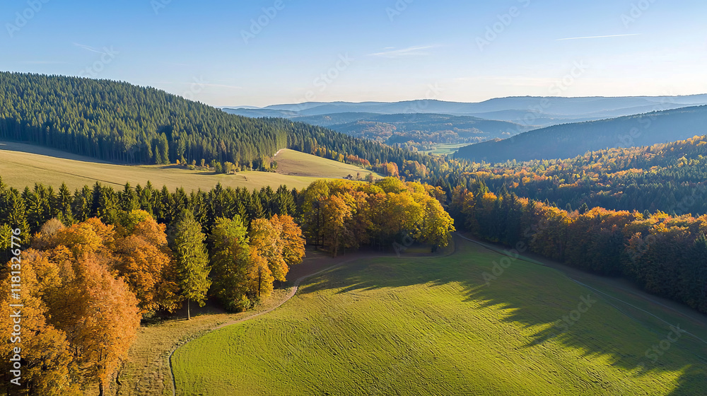 Wall mural Aerial view of colorful autumn forest under clear sunny skies