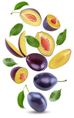 flying fresh plum fruit with green leaf and cut plum slices isolated on white background. clipping path