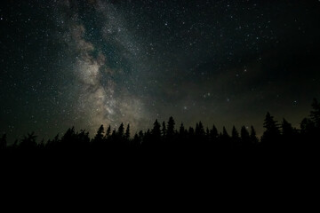 Naklejka premium A breathtaking view features a forest silhouette against a clear night sky, showcasing countless stars and the Milky Way stretching across the horizon, creating a serene atmosphere.
