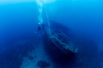 two scuba divers diving near of the wreck of an old ruined ship on the bottom of deep blue sea with...