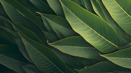 Obraz premium Richly textured green leaf surface showcasing the fine veins and natural patterns of foliage.