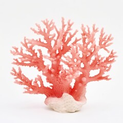Fototapeta premium Vibrant Coral in Light Red Color on White Background Ideal for Marine Life, Underwater, and Nature Themes in Stock Photography