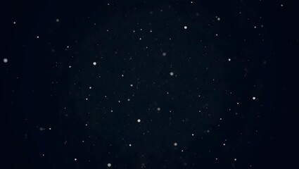 Obraz premium Graceful Snowfall Against a Midnight Sky.