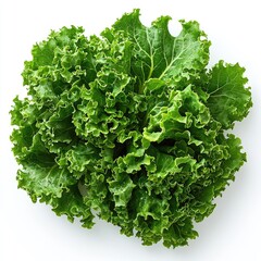 Obraz premium Fresh Green Lettuce: A Vibrant, Healthy, and Delicious Leafy Green Vegetable for Salads and Recipes