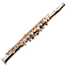 flute on transparent background