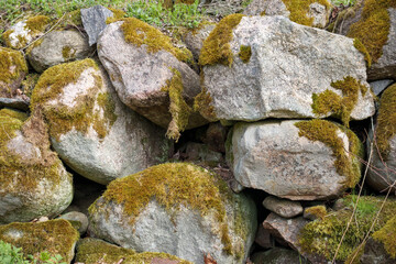 
A stone wall overgrown with clumps of green moss.