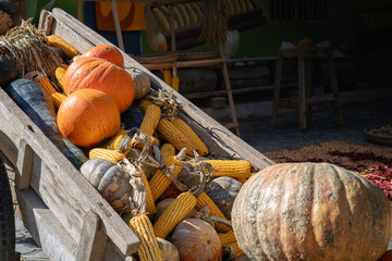 pumpkins and corns