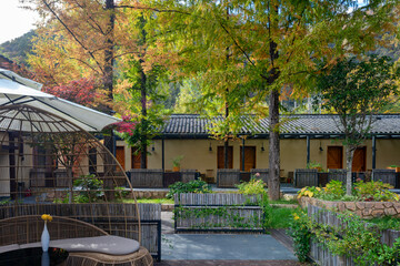 autumn in the liuba qinling mountains, china