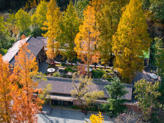 autumn in the liuba qinling mountains, china