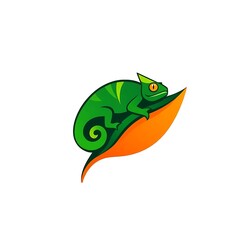 Obraz premium Green Chameleon on Leaf: A vibrant green chameleon perches on an orange leaf, its eyes sparkling with alertness.