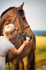 Horse gets its nose blown.