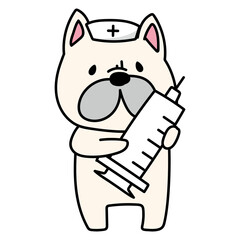 大きな注射器を持っているナースキャップをかぶったフレンチブルドッグ