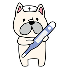 大きな体温計を持っているナースキャップをかぶったフレンチブルドッグ