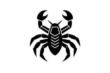 scorpion isolated on white background