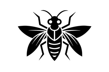 Obraz premium black and white butterfly