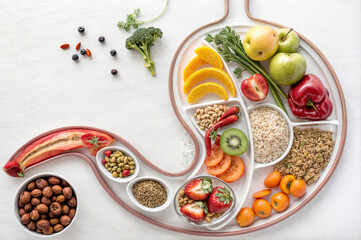 shows an anatomical image of the stomach filled with various useful products such as fruits, vegetables The products are arranged in such a way as to resemble different compartments