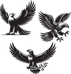 Silhouette of Eagle with white background