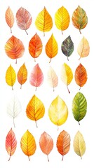 Obraz premium Autumn Leaves Watercolor Illustration - Vibrant Fall Foliage