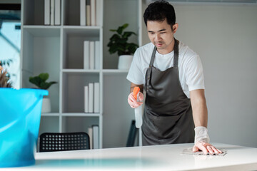 Professional Cleaner Tidying Up Modern Home Interior with Cleaning Supplies and Equipment for a...