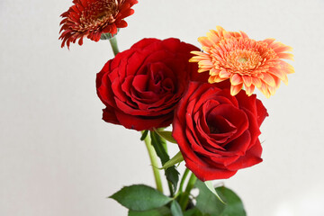 薔薇とガーベラ