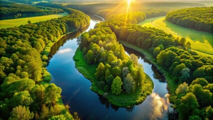 Drone captures a vibrant aerial view: lush forest embracing a serpentine river.
