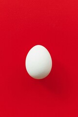 Single white egg on a red background