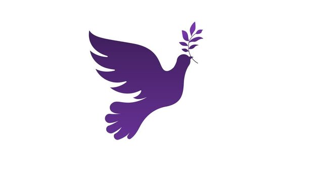 Bird flying on white background 