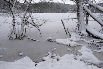 Snowy trees by Lubygosc lake in winter scenery. Nature Reserve Lubygosc, Kashubian Landscape Park, Mirachowskie Forests, Pomerania, Poland.