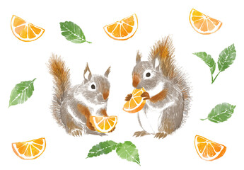蜜柑とリスの水彩イラスト © kayo