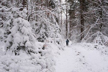 Scenery of snowy forest with little silhouettes of walking people on road.